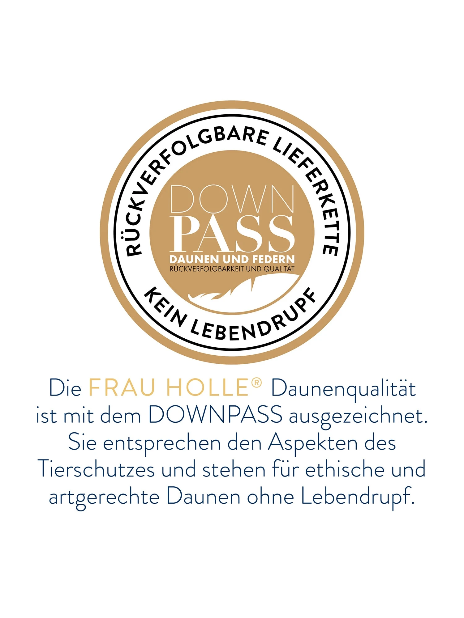 Frau Holle Babydaune Bettdecken In Naturweiss – Bild 4